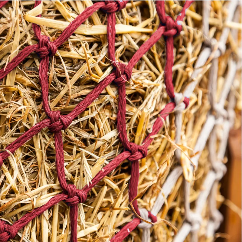 LeMieux Hippo Haynet - Burgundy-1