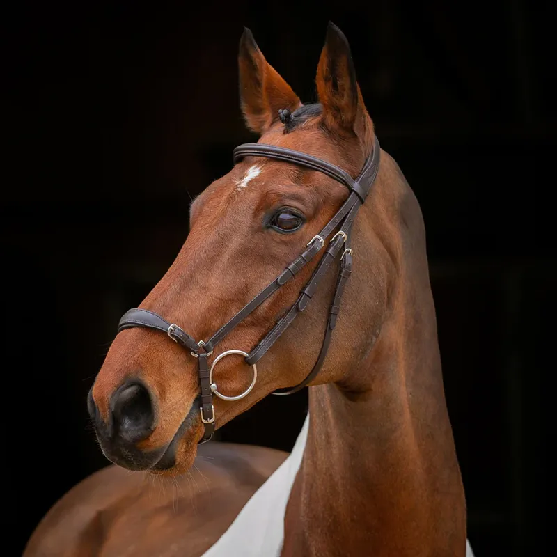 Shires Velociti RAPIDA Drop Noseband Bridle - Havana