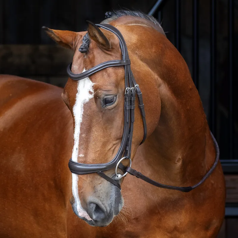 Shires Velociti RAPIDA Ergonomic Curved Flash Bridle - Havana