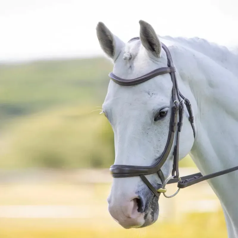 Shires Velociti RAPIDA Ergonomic Curved Flash Bridle - Havana-2
