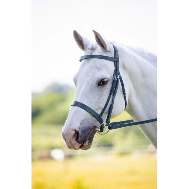 Shires Velociti RAPIDA Hunter Cavesson Bridle - Black-2