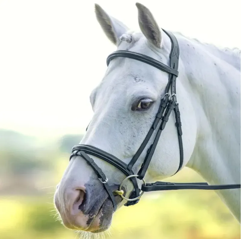 Shires Velociti RAPIDA Padded Raised Flash Bridle - Black-2