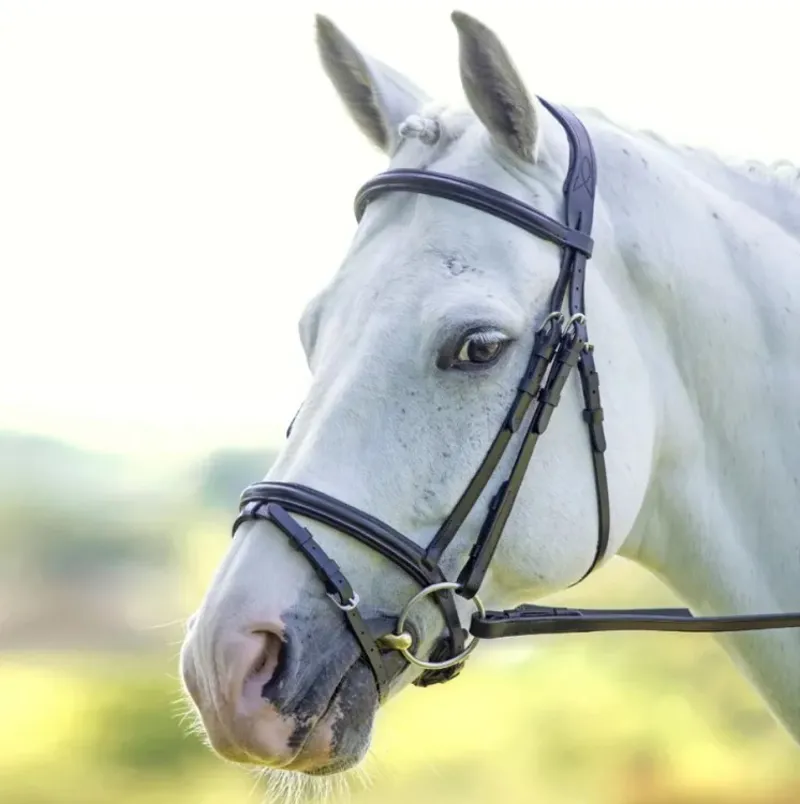 Shires Velociti RAPIDA Padded Raised Flash Bridle - Havana-2