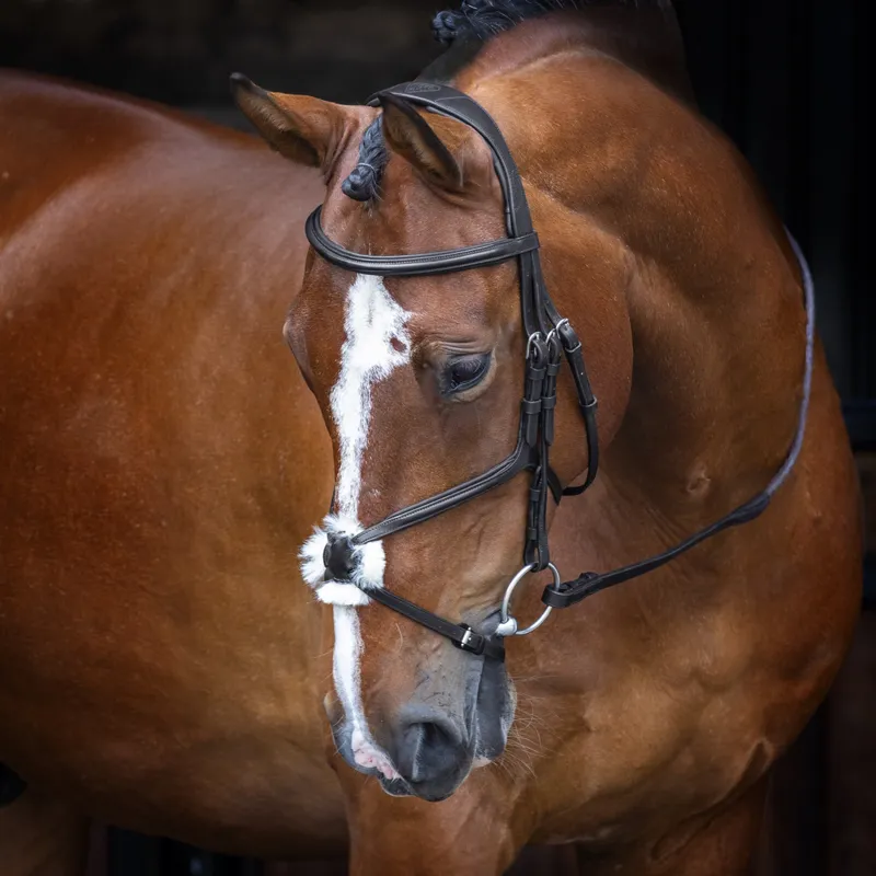 Shires Velociti RAPIDA Grackle Bridle - Black