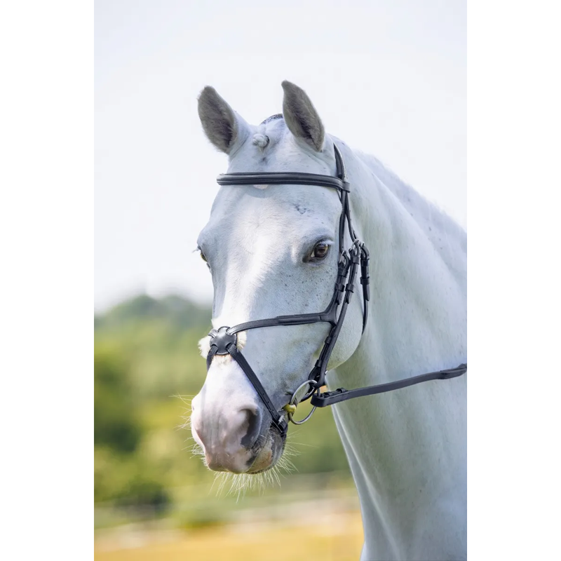 Shires Velociti RAPIDA Grackle Bridle - Black-2