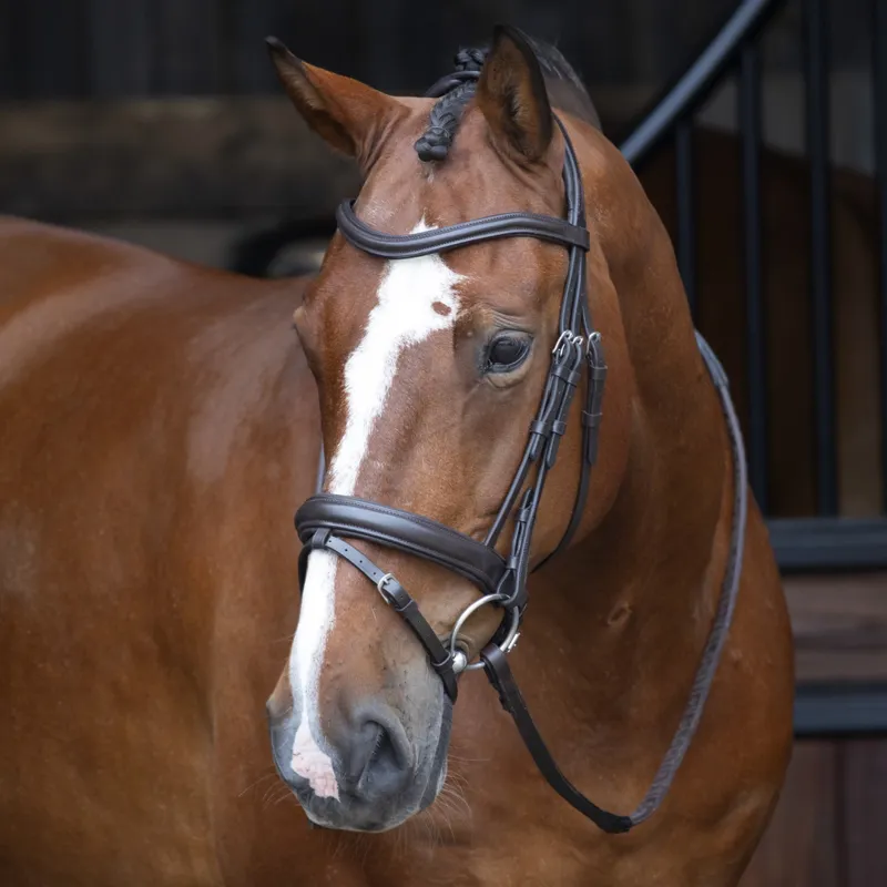Shires Velociti RAPIDA Dressage Flash Bridle - Havana