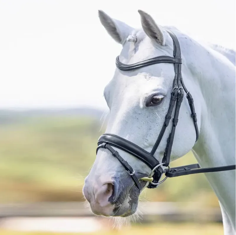 Shires Velociti RAPIDA Dressage Flash Bridle - Black-2