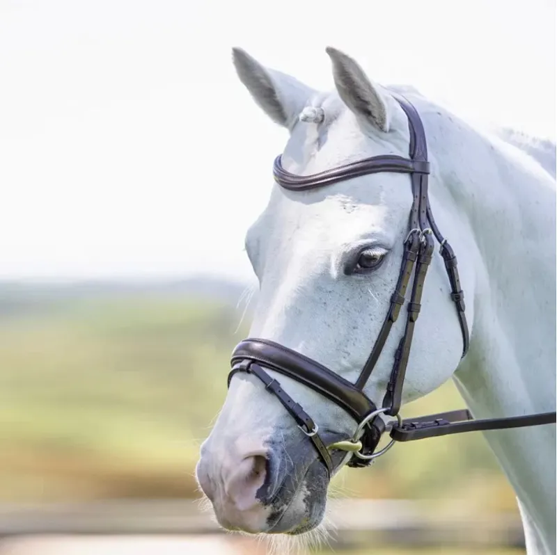 Shires Velociti RAPIDA Dressage Flash Bridle - Havana-2