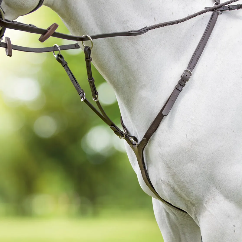 Shires Velociti RAPIDA Breasplate - Havana-2