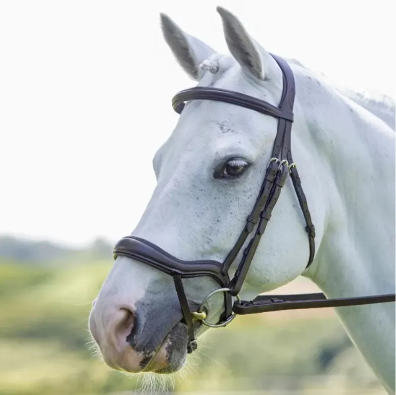 Shires Velociti RAPIDA Ergonomic Flash Bridle - Havana-2
