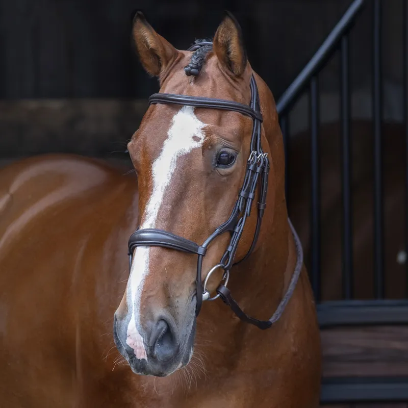 Shires Velociti RAPIDA Rolled Padded Cavesson Bridle - Havana