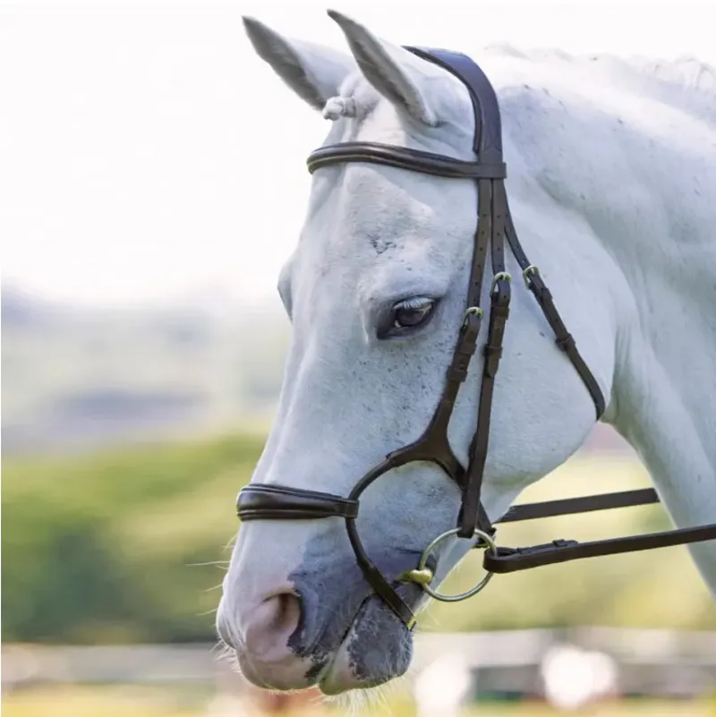 Shires Velociti RAPIDA Rolled Padded Cavesson Bridle - Havana-2