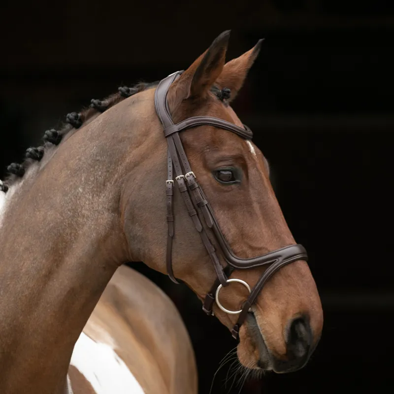 Shires Velociti Rapida Comfort Flash Bridle - Havana