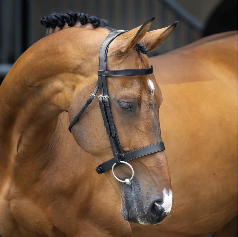 Shires Lusso Hunter Cavesson Bridle - Black