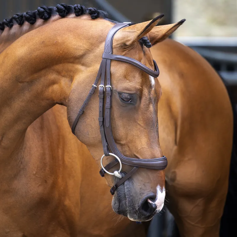 Shires Lusso Ergonomic Curved Flash Bridle - Havana