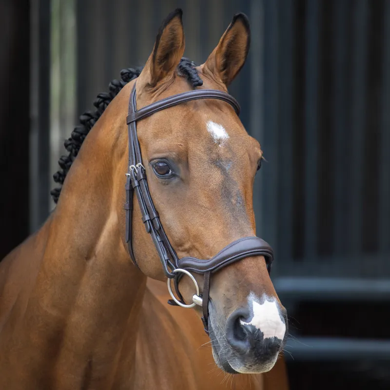 Shires Lusso Ergonomic Flash Bridle - Havana