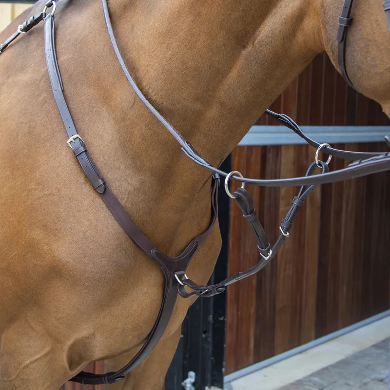 Shires Velociti Lusso Breastplate - Havana