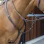 Shires Velociti Lusso Breastplate - Havana