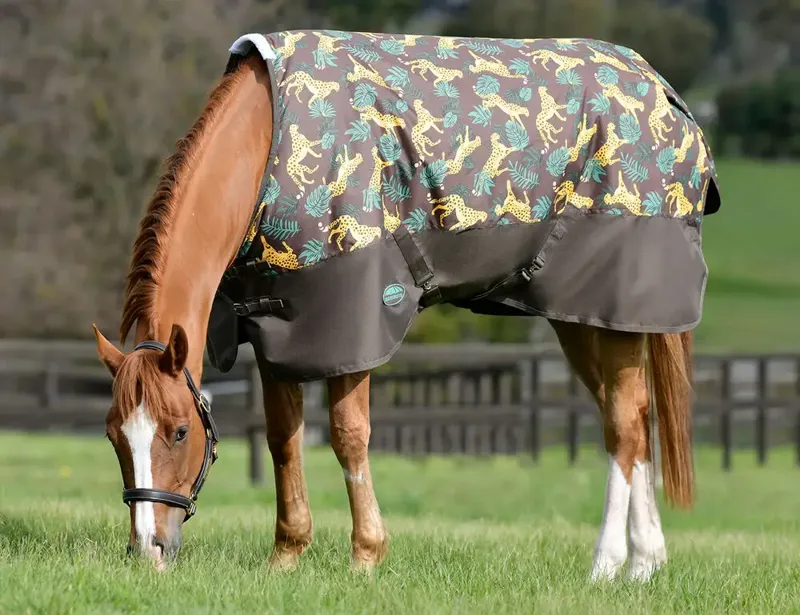 WeatherBeeta ComFiTec Tyro 50g Lite Plus Turnout Rug - Jungle Print-1