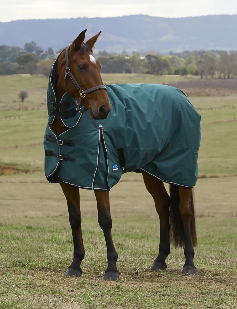 WeatherBeeta ComFiTec Classic 50g Turnout Combo Rug -  Forest Green/Black-1