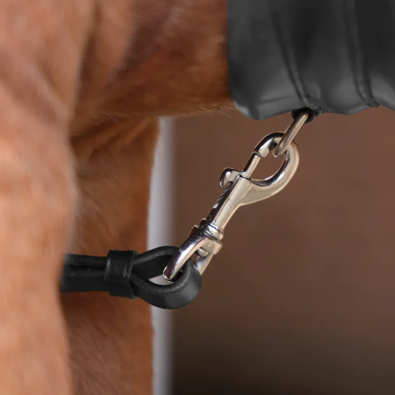 Shires Velociti Rapida Elastic Breastplate - Black-5