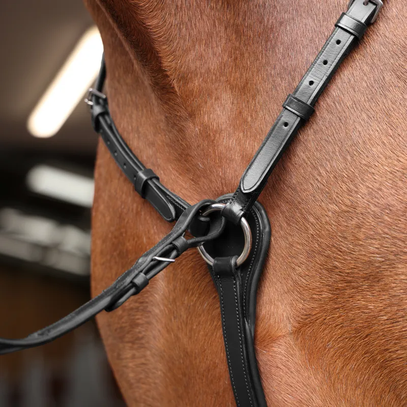 Shires Velociti Rapida Elastic Breastplate - Black-3