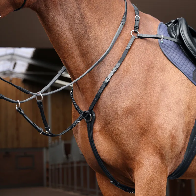 Shires Velociti Rapida Elastic Breastplate - Black