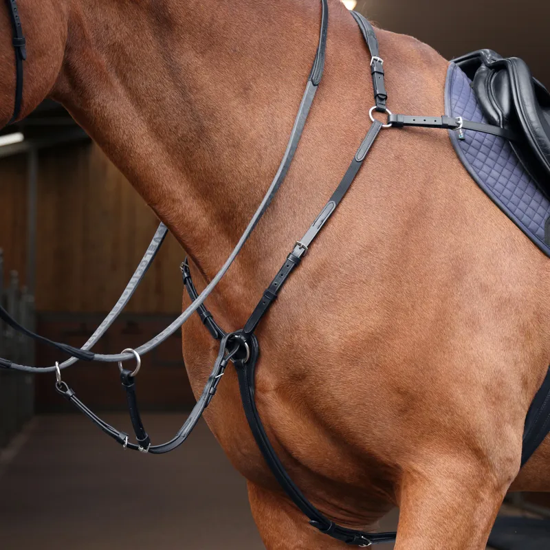 Shires Velociti Rapida Elastic Breastplate - Black-1
