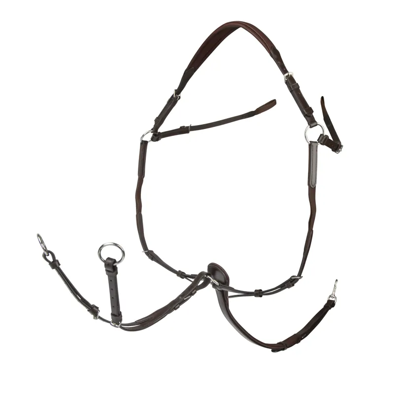 Shires Velociti Rapida Elastic Breastplate - Havana-1