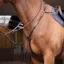 Shires Velociti Rapida Elastic Breastplate - Havana