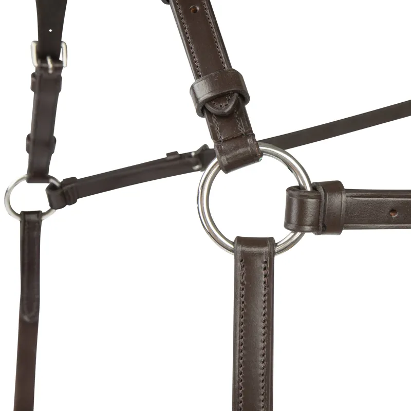 Shires Velociti Rapida Elastic Breastplate - Havana-4