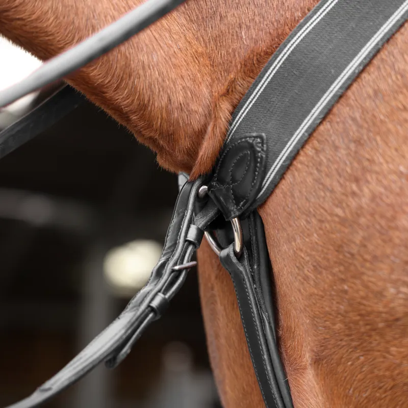 Shires Lusso Three Point Elastic Breastplate - Black-2