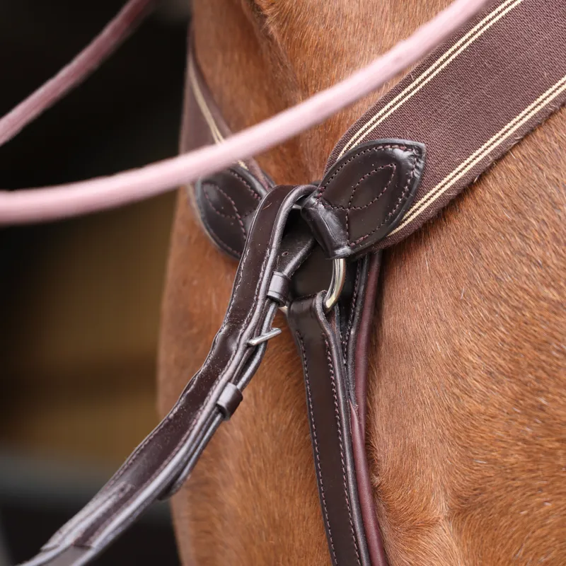 Shires Lusso Three Point Elastic Breastplate - Havana-2