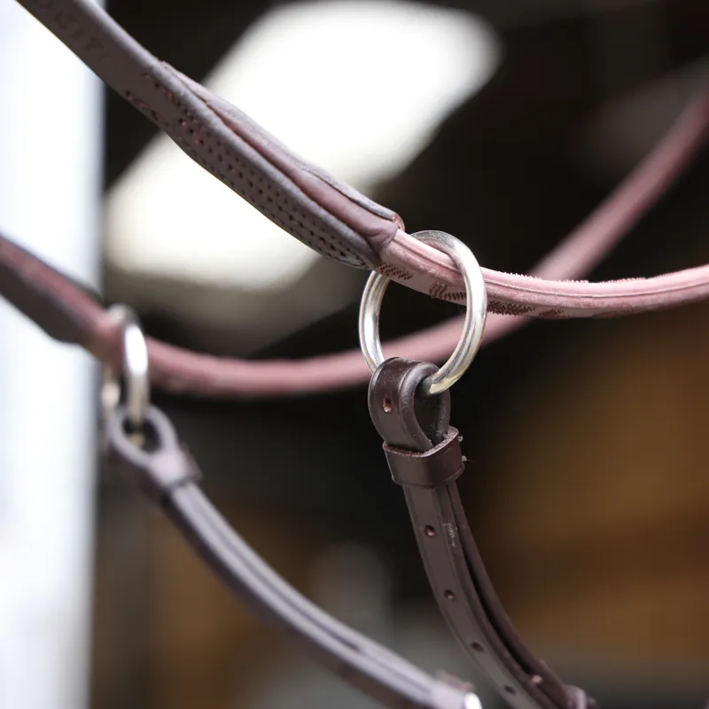 Shires Lusso Three Point Elastic Breastplate - Havana-4