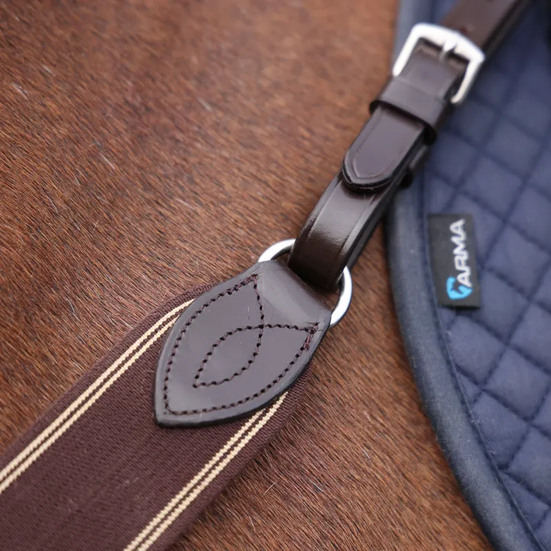 Shires Velociti Rapida Elastic Breastgirth - Havana-3