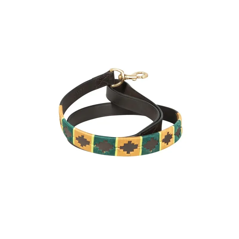 Benji and Flo Sublime Polo Leather Dog Lead - Green/Gold 
