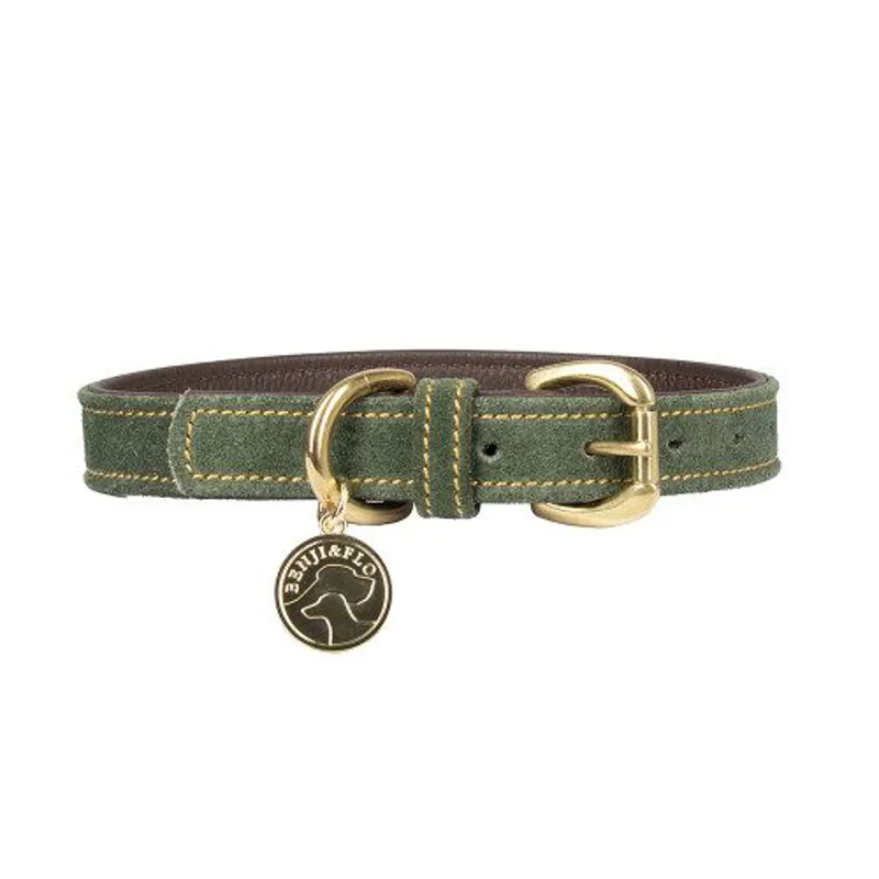 Benji and Flo Noble Suede Dog Collar - Green/Gold