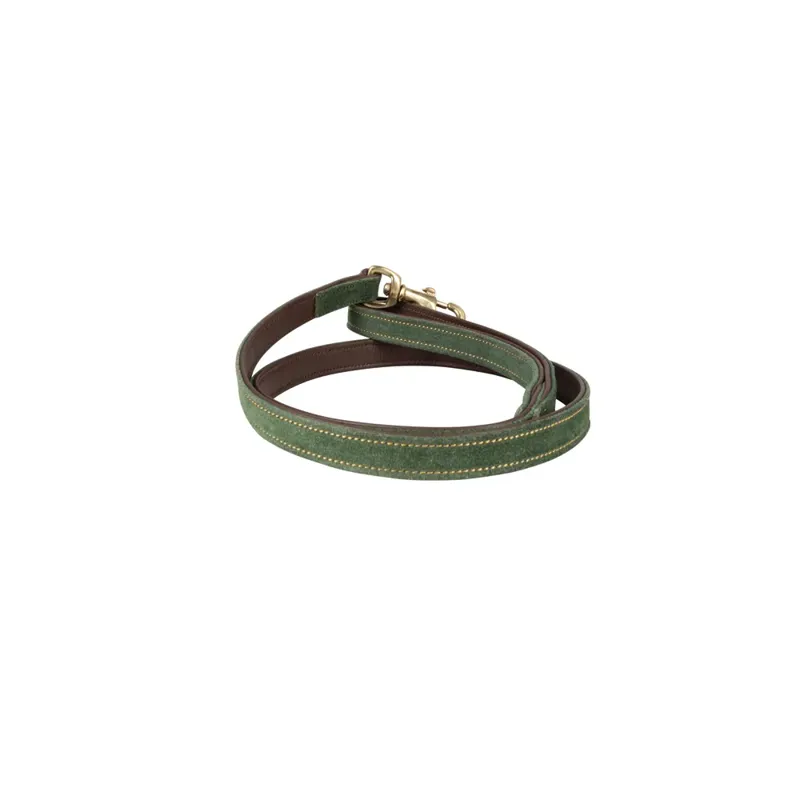 Benji and Flo Noble Suede Dog Lead - Green/Gold 