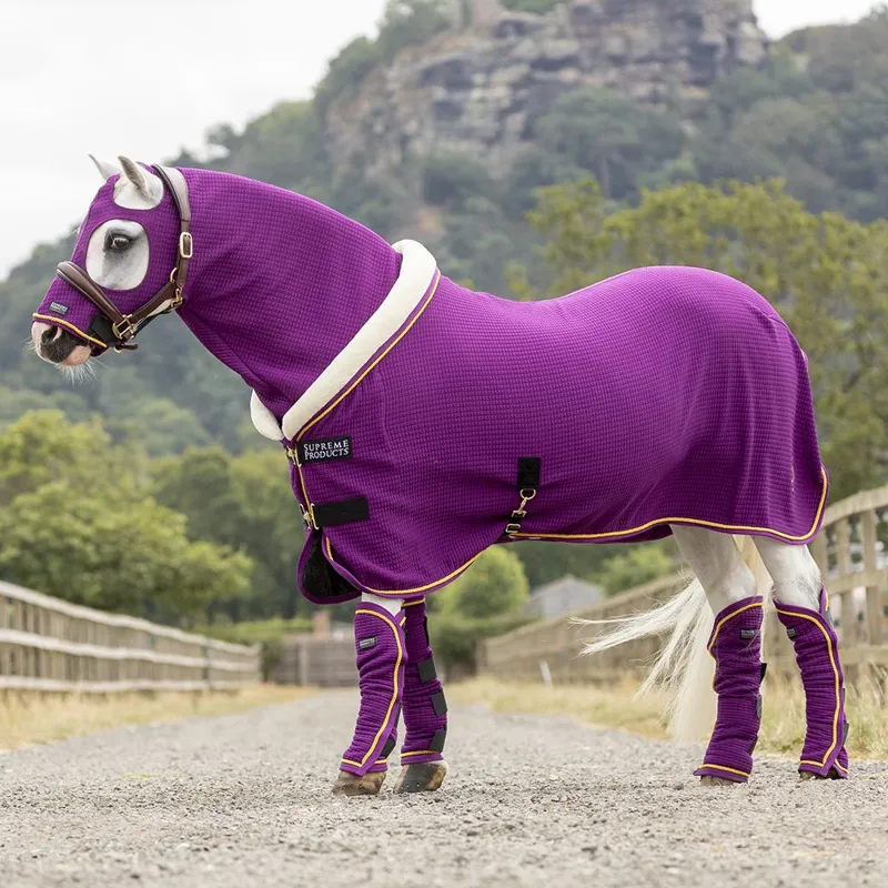 Supreme Products Royal Celebration Quilted Show Rug - Purple-1