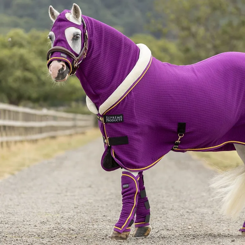 Supreme Products Royal Celebration Quilted Show Rug - Purple-2