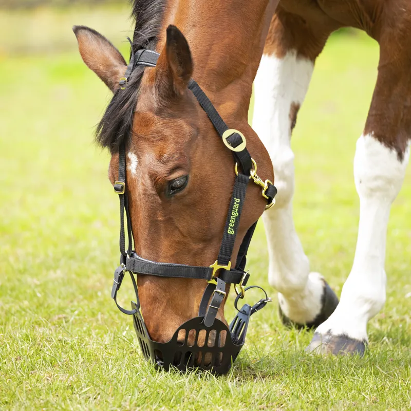 Shires Greenguard Muzzle - Black-1