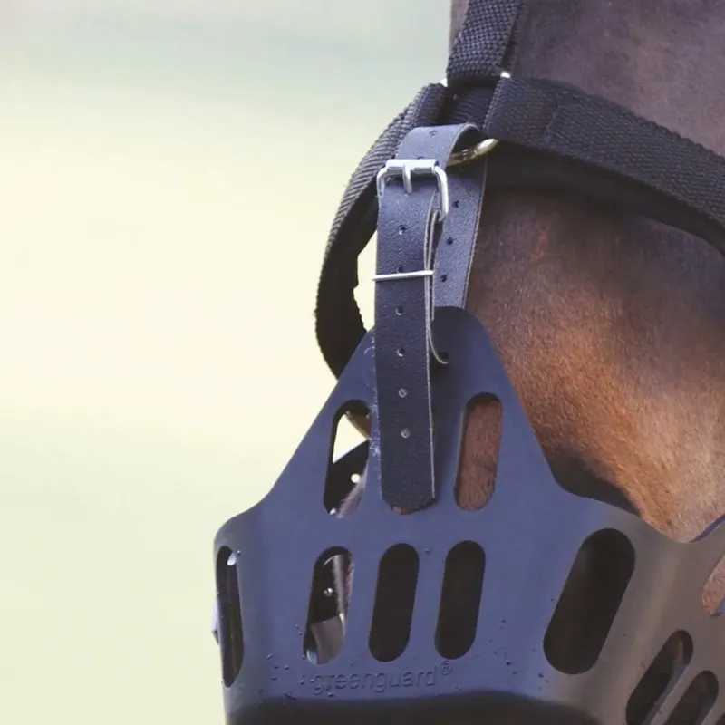 Shires Greenguard Spare Strap - Black