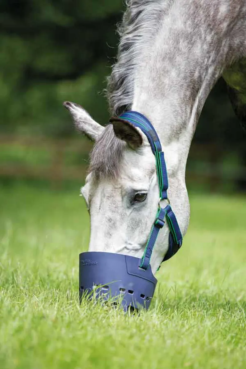 Shires Flexi Grazer Grazing Muzzle - Navy-2