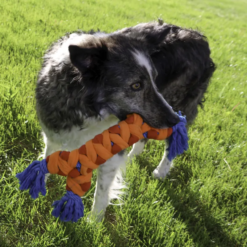 KONG Rope Rally Bone -2