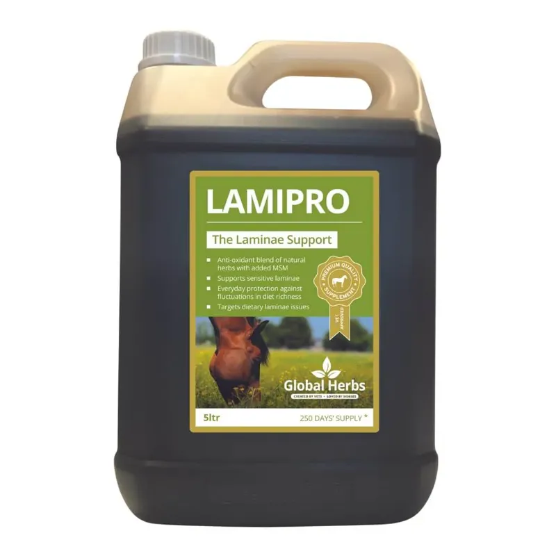 Global Herbs LamiPro Liquid-1