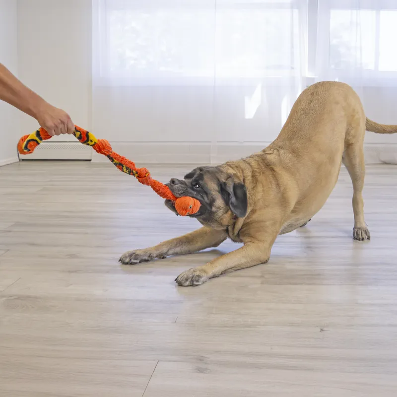 KONG Knots Snake Assorted Colours dog toy-4