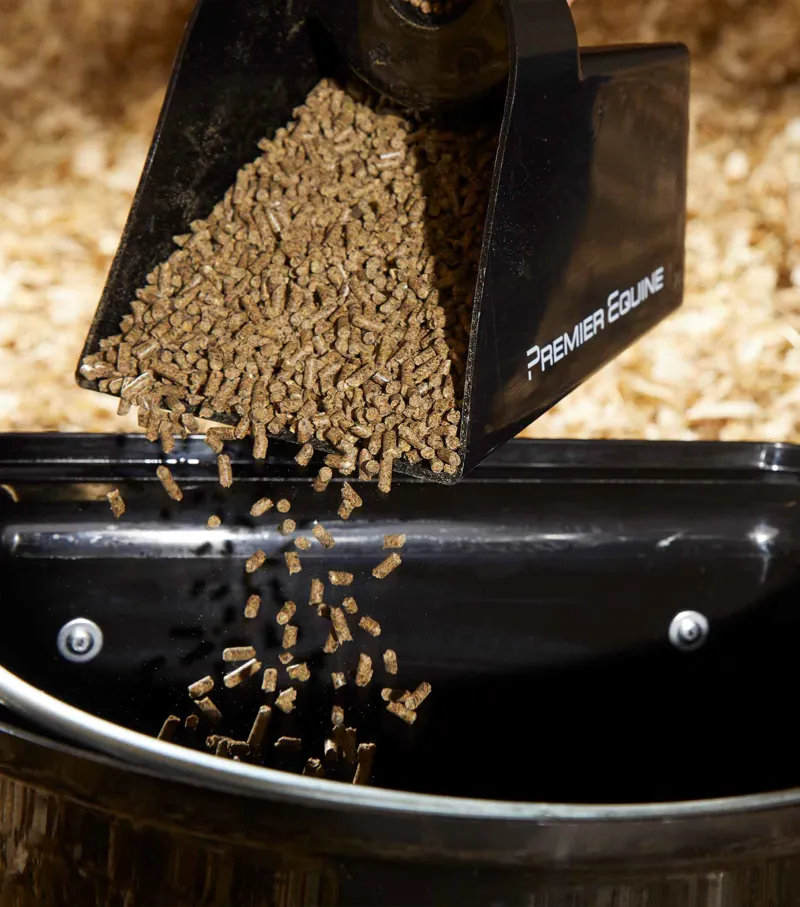 Premier Equine Hook Over Manger - Black-2