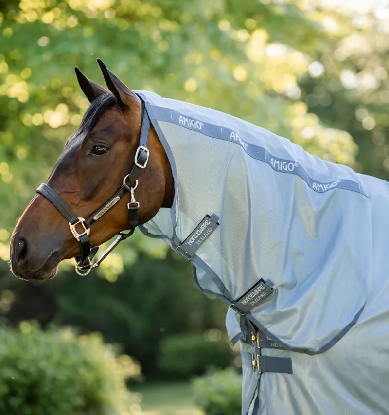 Horseware Amigo Integrated Fly Sheet - Heather Blue/Blue Silver-1