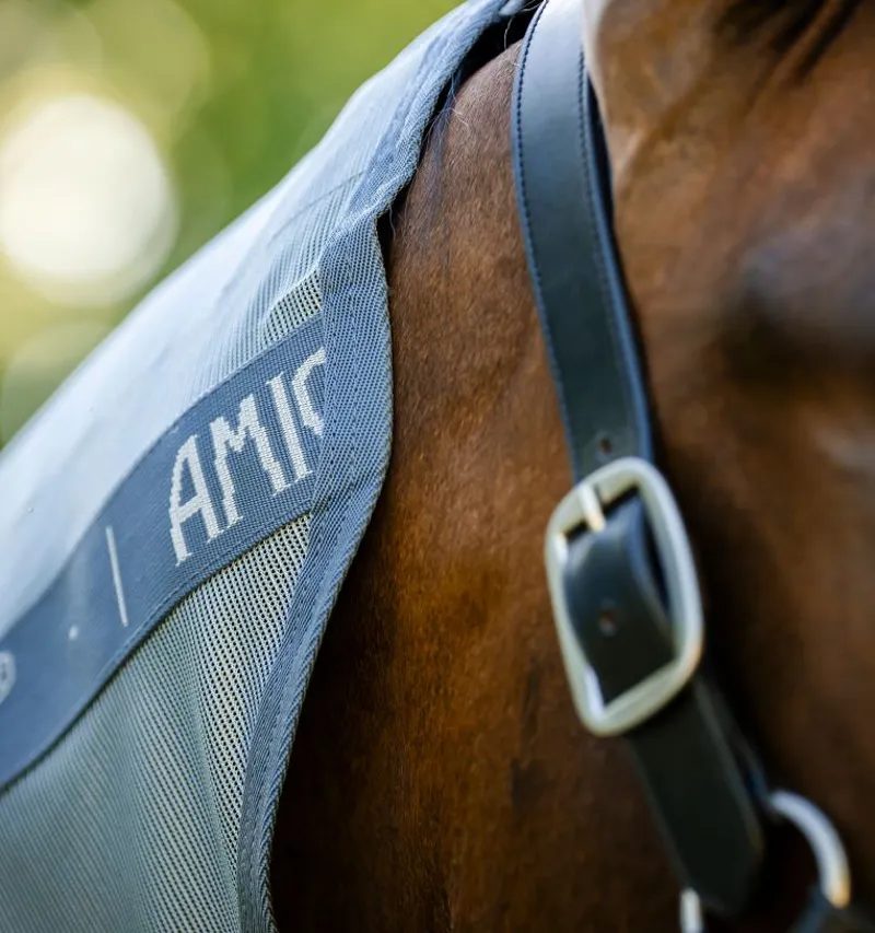 Horseware Amigo Integrated Fly Sheet - Heather Blue/Blue Silver-3