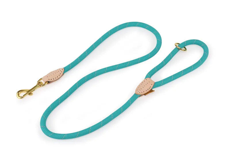 Shires Digby and Fox Reflective Dog Lead - Teal
